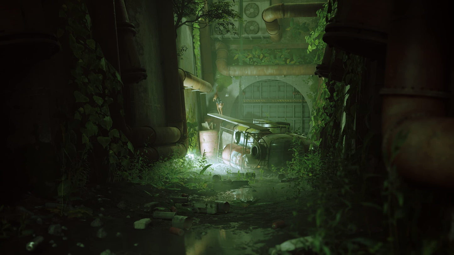 Stray (PS5)