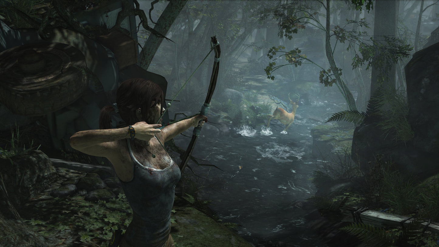 Tomb Raider: Definitive Edition