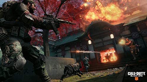 Activision Call of Duty: Black Ops 4 PS4