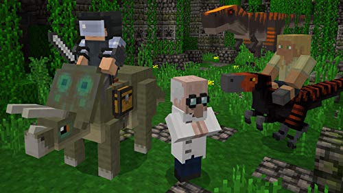 Minecraft Bedrock Edition Playstation 4 PS4 Game