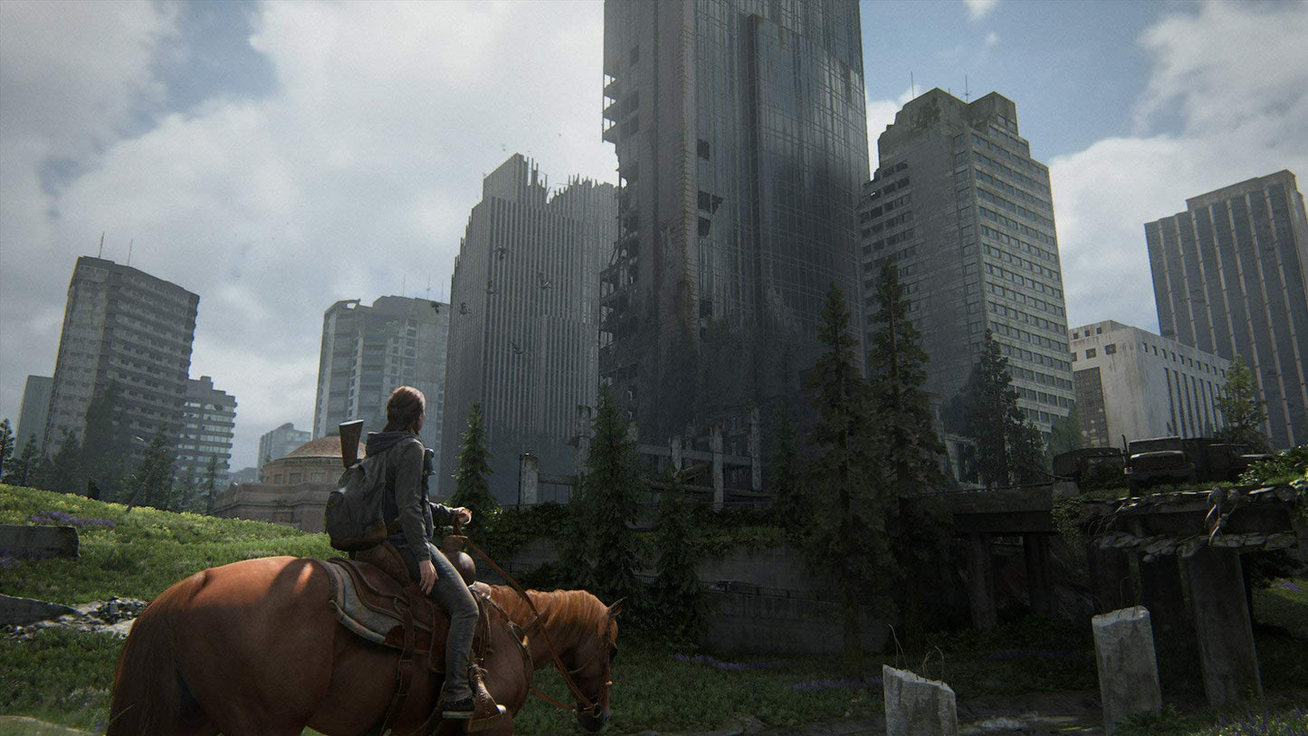 The Last of Us Part II (PS4) Console Game