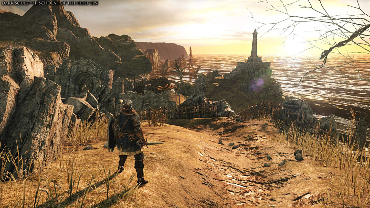 Dark Souls Trilogy PS4 Game