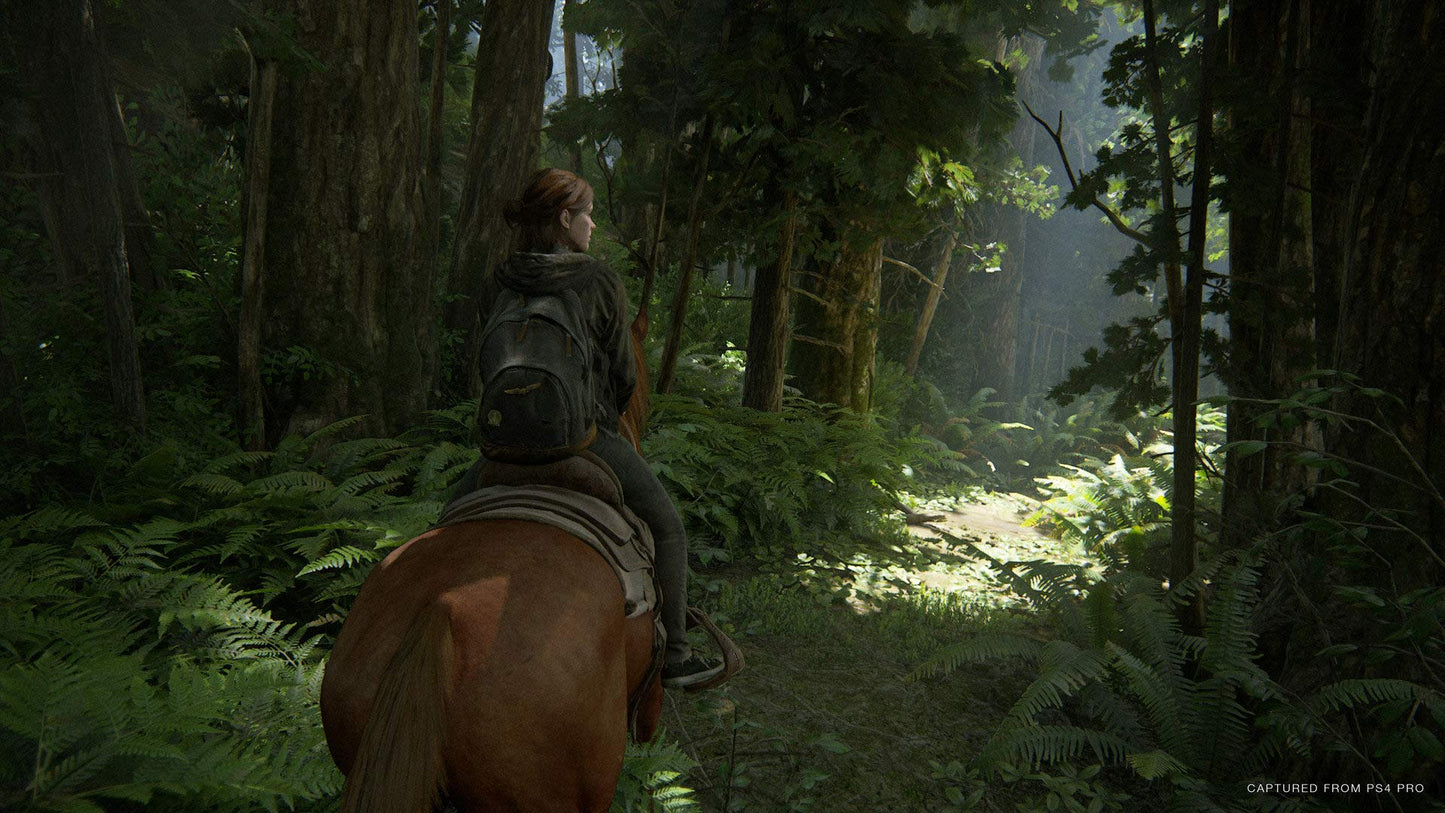 The Last of Us Part II (PS4) Console Game
