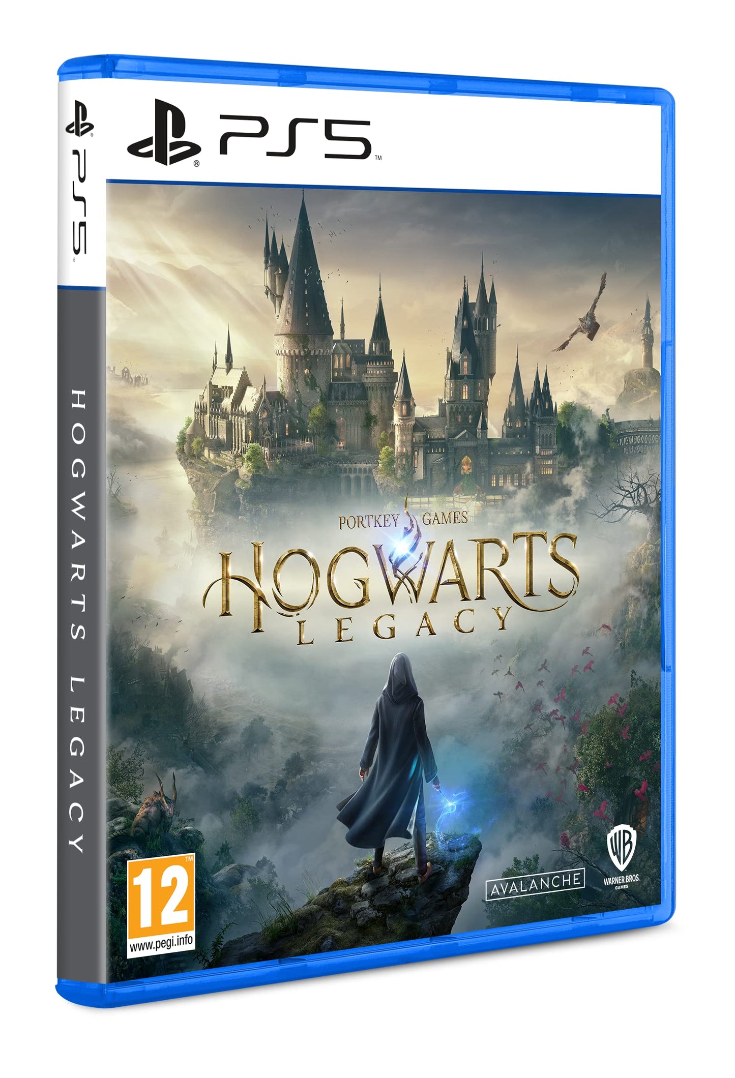 HOGWARTS LEGACY PS5 OYUN